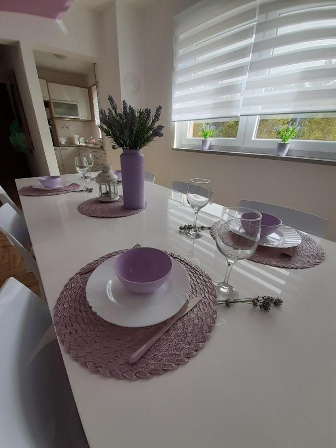 Apartment Dinko *